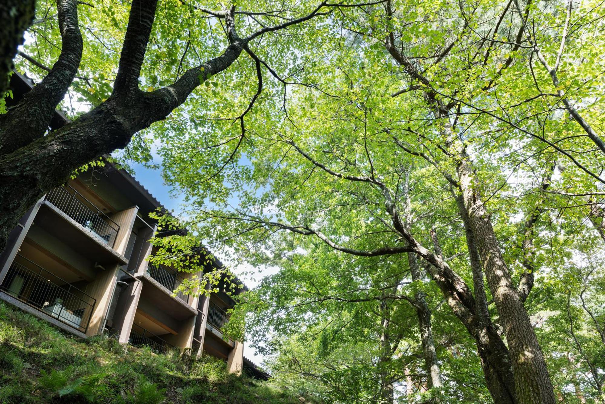 Laforet Shuzenji Sanshisuimei Идзу Экстерьер фото