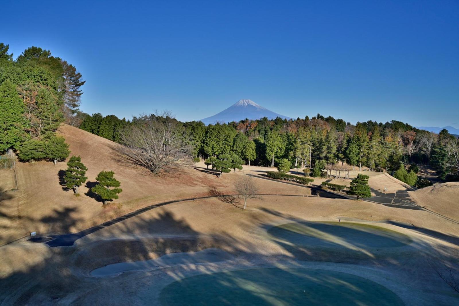 Laforet Shuzenji Sanshisuimei Идзу Экстерьер фото